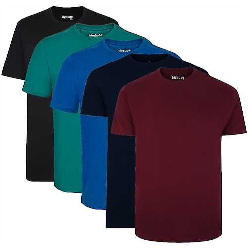 Bigdude 5 Pack Plain T-Shirts